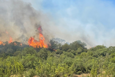 Bursa'da saatlerdir süren orman yangını kontrol altına alındı!