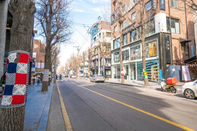 Kore sokaklarında çöp kutusu bu yüzden yokmuş…