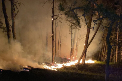 Bolu’daki orman yangını büyüyor: Karadan müdahale sürüyor