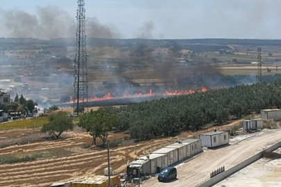 Bursa'da bir yangın daha! Fabrikaların tam karşısı alevlere teslim oldu...