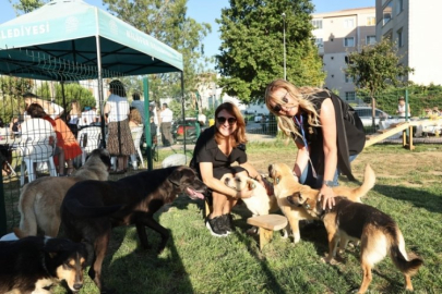 Bursa'da Sahiplendirme Şenliği