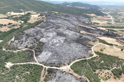 Bursa'nın yüreği yandı! 500 futbol sahası büyüklükte alan kül oldu