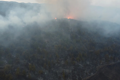 Cumhurbaşkanlığı İletişim Başkanlığından orman yangınlarına ilişkin paylaşım
