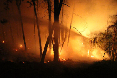İletişim Başkanlığı orman yangınlarında son durumu açıkladı