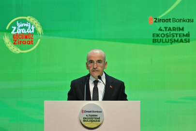 Mehmet Şimşek'ten 'enflasyon' değerlendirmesi