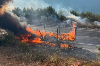 Tırda çıkan yangın büyük panik yarattı! Ekipler ormana sıçramaması için büyük uğraş verdi...