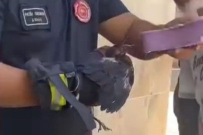 Bursa'da yürekleri ısıtan kurtarma! Çaresizce bekledi