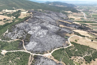 Bursa'daki yangınlarda 65 hektar küle döndü