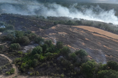 Cumhurbaşkanlığı İletişim Başkanlığı'ndan orman yangınlarına ilişkin paylaşım