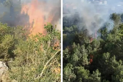 İstanbul'da orman yangını! Aydos'tan alevler yükseldi
