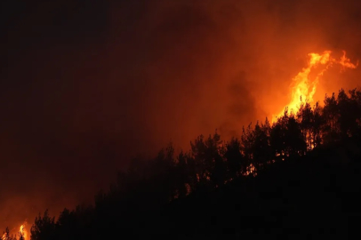 İzmir'de yangına sebebiyet veren kişi gözaltına alındı