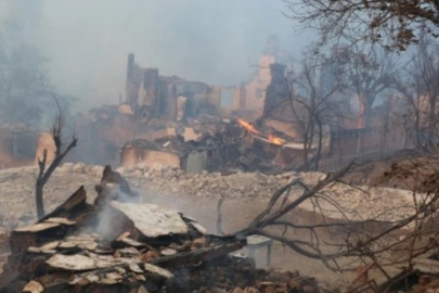 Sakarya'da başladı Bilecik'e kadar ulaştı! Bölge tamamen kül oldu