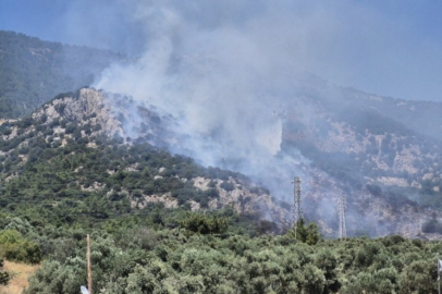 Bodrum'daki yangın kontrol altına alındı