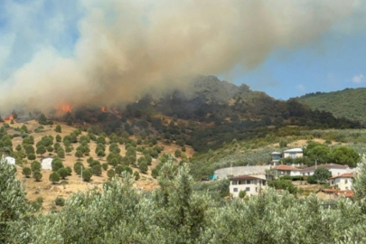 Bursa'da büyük orman yangını!