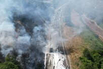 Bursa'da TIR'daki yangını ormana sıçradı