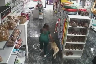 Bursa'da insanlık dersi! Yarı yolda bırakmadılar...