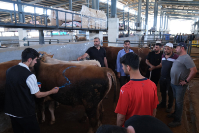 Hayvan Pazarları İkinci Bir Emre Kadar Kapatıldı
