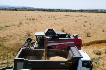 Mustafakemalpaşa'da buğday hasadı başladı!