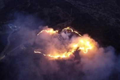 Pire için yorgan yakar gibi kene için orman yaktı!