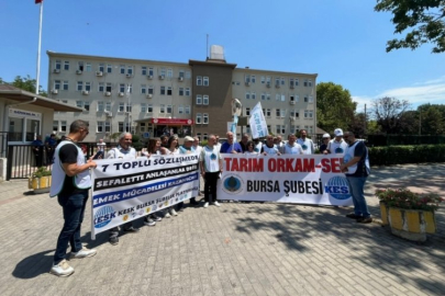 Tarım Orman-Sen Bursa: Ormanlar ve halkımız yanıyor