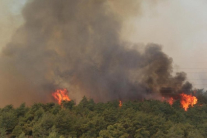 Türkiye'de 5 günde 342 yangın çıktı