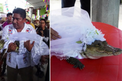 230 yıllık garip gelenek! Belediye başkanı timsahla evlendi