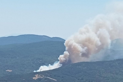 Bir orman yangını daha!