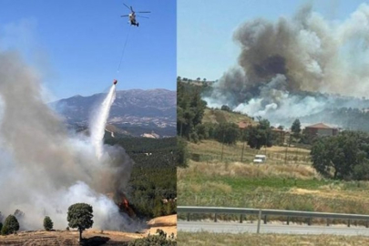 Bursa'nın yanı başında korkutan yangın!