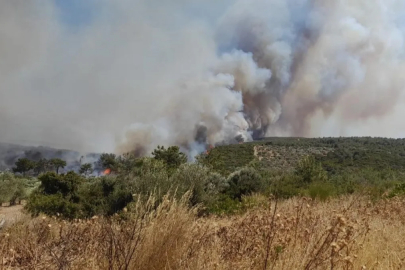 Çeşme'de yangın alarmı: Ekiplerin müdahalesi sürüyor