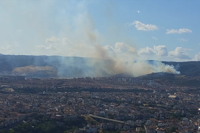 Kocaeli'de orman yangını, yerleşimlere ulaşmadan durduruldu