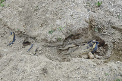 Nevşehir'de bulunan cesedin kimliği belli oldu