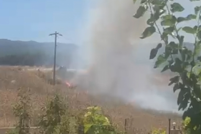 Bursa'da yol kenarı yangınları devam ediyor...