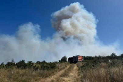 İstanbul Silivri'de ormanlık alanda yangın