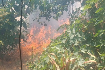 Mersin'deki orman yangını kontrol altında