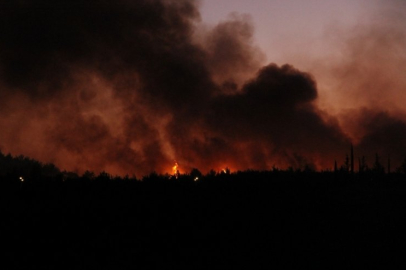 Orman yangını yerleşim yerine ulaştı! Vatandaşlar hortumlarla direniyor...
