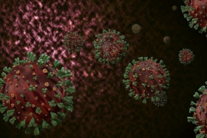 "Son derece nadir görülen" virüs can aldı