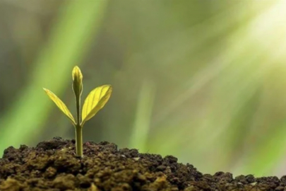14 soruda İklim Kanunu nedir? Bakanlık tek tek yanıtladı