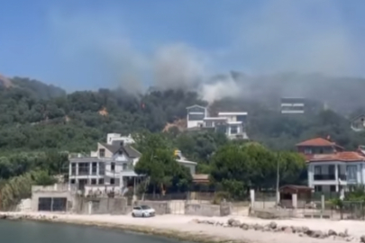 Bursa'da bir yangın daha çıktı!