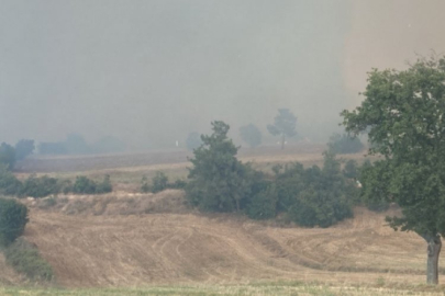 Bursa'da korkutan yangın!