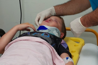 Park halindeki kamyonet hareket ederek 8 yaşındaki çocuğa çarptı