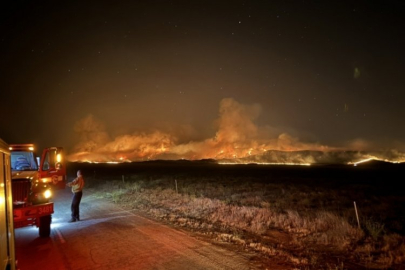 Bir ülke daha alevlerle savaşıyor! 52 bin dönümlük arazi kül oldu