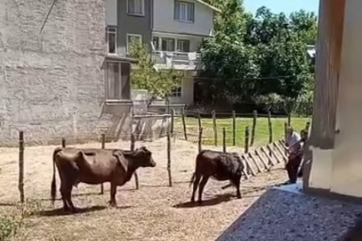 Bursa'da akılalmaz anlar! Başını belaya değil, merdivene soktu!