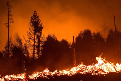 Almanya üç eyaletindeki yangınlarla mücadele ediyor