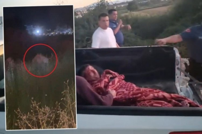 Bu sefer tehlike çok başka! Hayvan parkından aslan kaçtı