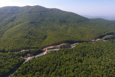 Bursa'da o tarihler arasında ormana girişler yasaklandı!