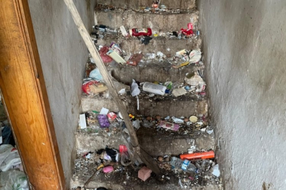 Tüm sokağı kapladı, komşular dayanamadı!