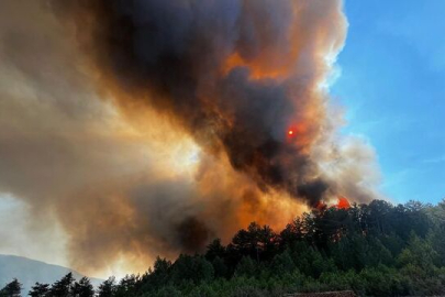 3 ilde orman yangını