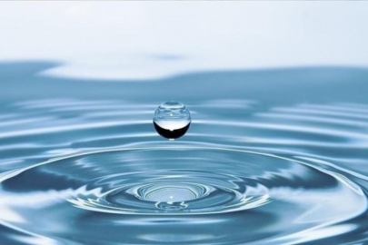 Başkan Bozbey'den üzücü haber!