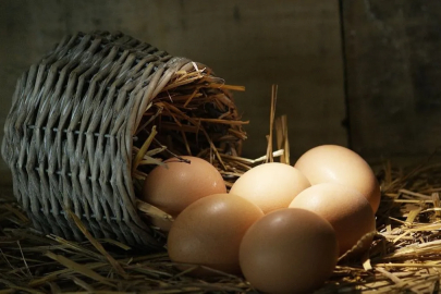 Yumurta fiyatlarına zam!