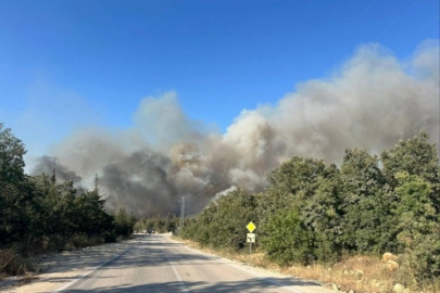Bursa'da büyük yangın! Dumanlar her yeri kapladı